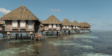 WhatsApp Image 2026-04-20 at 12.08.01