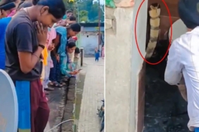 Hindistan'da bir evin klozetinde ortaya çıkan dev kobra panik yarattı