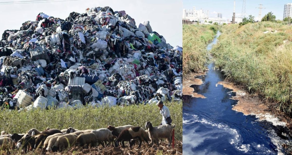 Türkiye'ye Yönelik Plastik Atık İthalatı Büyürken Çevresel Maliyetler Hızla Artıyor