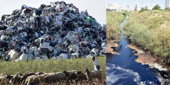 Türkiye’ye Yönelik Plastik Atık İthalatı Büyürken Çevresel Maliyetler Hızla Artıyor