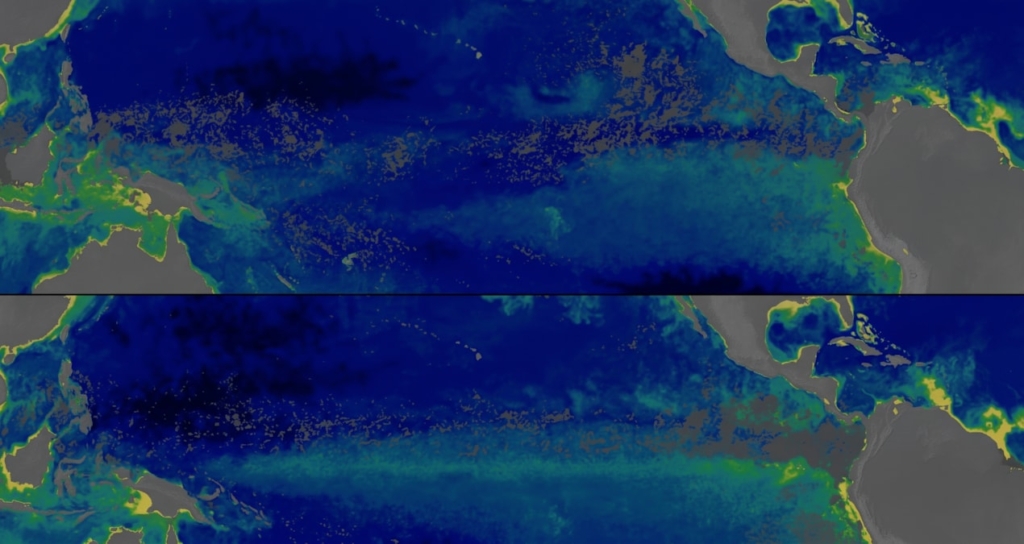NASA Verileri Pasifik Okyanusu'nda Süper El Nino Nedeniyle Yaşanan Renk Değişimini Gösterdi