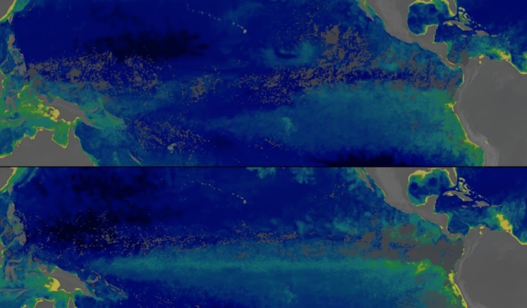 NASA Verileri Pasifik Okyanusu'nda Süper El Nino Nedeniyle Yaşanan Renk Değişimini Gösterdi