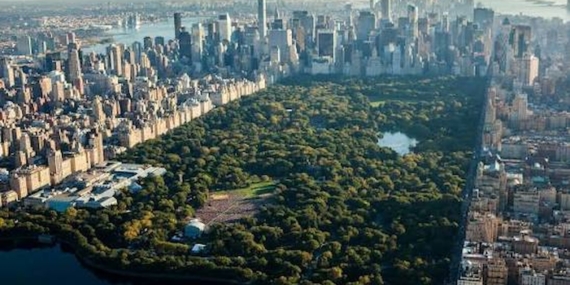 New York Central Park’ta Bıçaklı Cinsel Saldırı Şüphelisi Aranıyor
